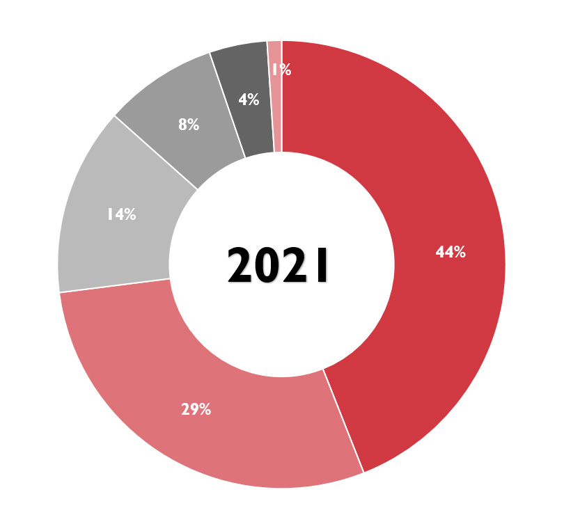 Grafico financiación 2021.