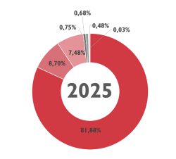 grafico ingresos 2025.