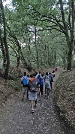 Camino de Santiago.